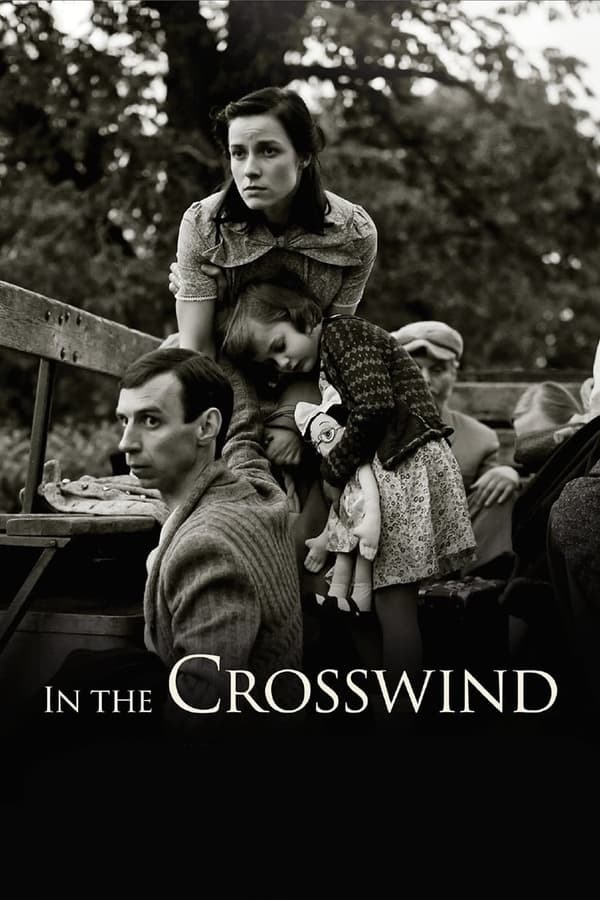 movie cover - In the Crosswind