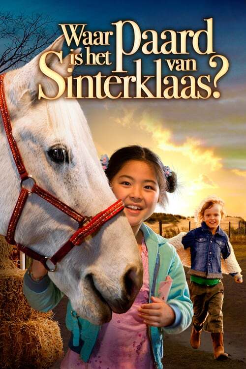 movie cover - Waar Is Het Paard Van Sinterklaas?