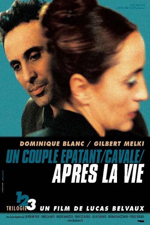 movie cover - Après La Vie