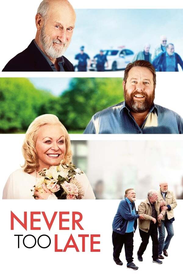 movie cover - Never Too Late