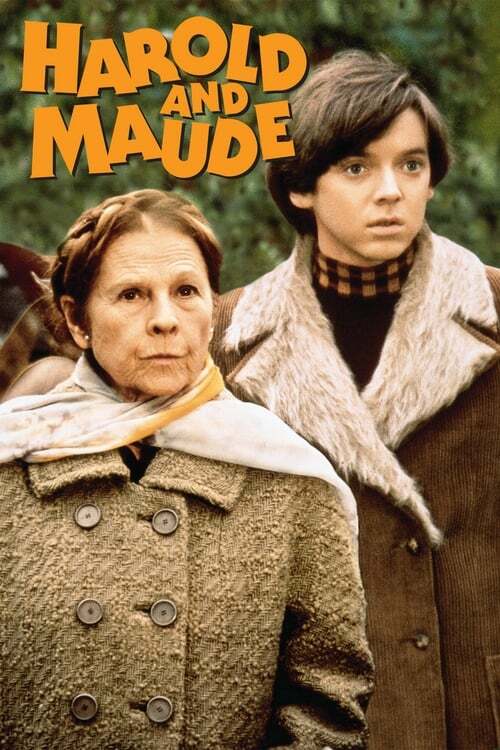 movie cover - Harold And Maude