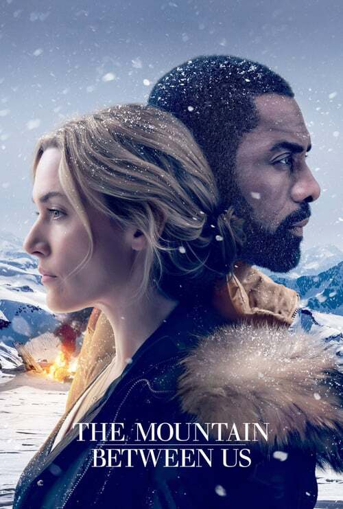 movie cover - The Mountain Between Us