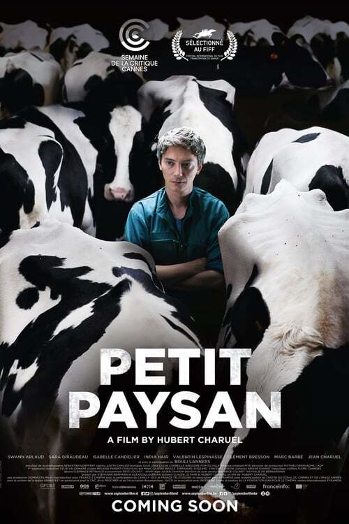 movie cover - Petit Paysan