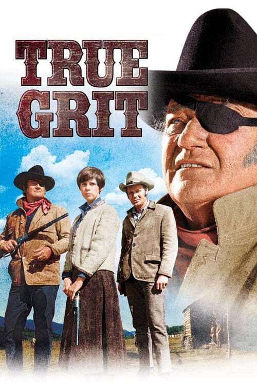 movie cover - True Grit