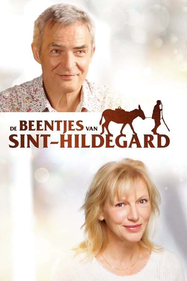 movie cover - De Beentjes van Sint Hildegard