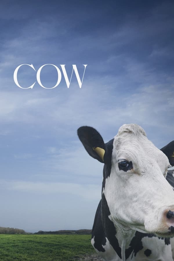 movie cover - Cow