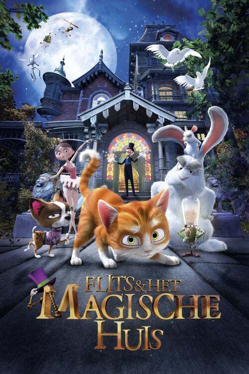 movie cover - Flits & Het Magische Huis