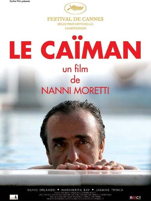 movie cover - Il Caimano