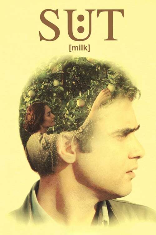movie cover - Milk