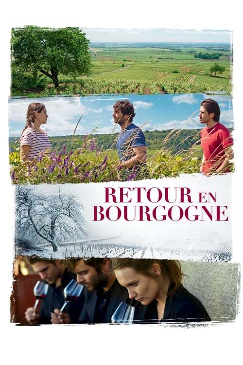 movie cover - Retour En Bourgogne