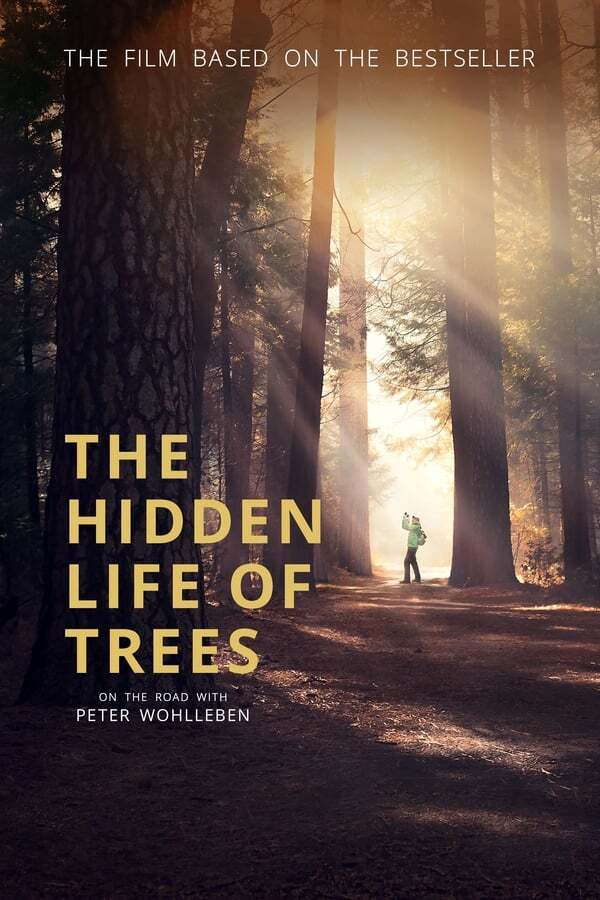 movie cover - The Hidden Life Of Trees 