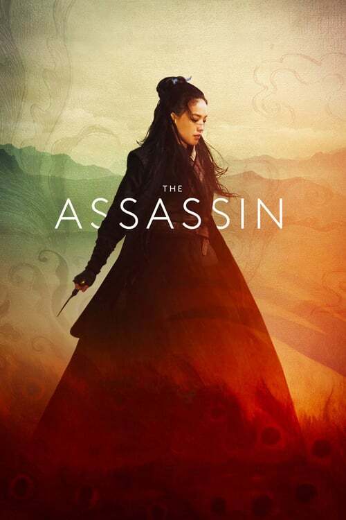 movie cover - The Assassin