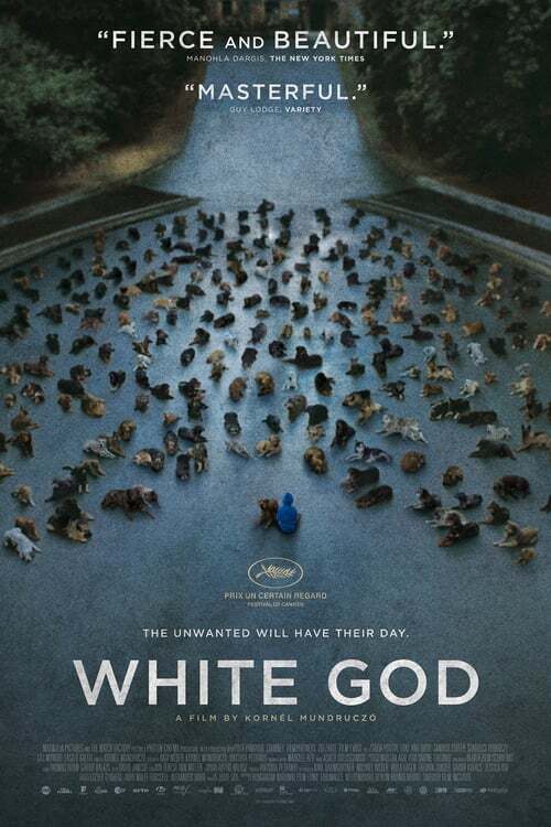 movie cover - White God