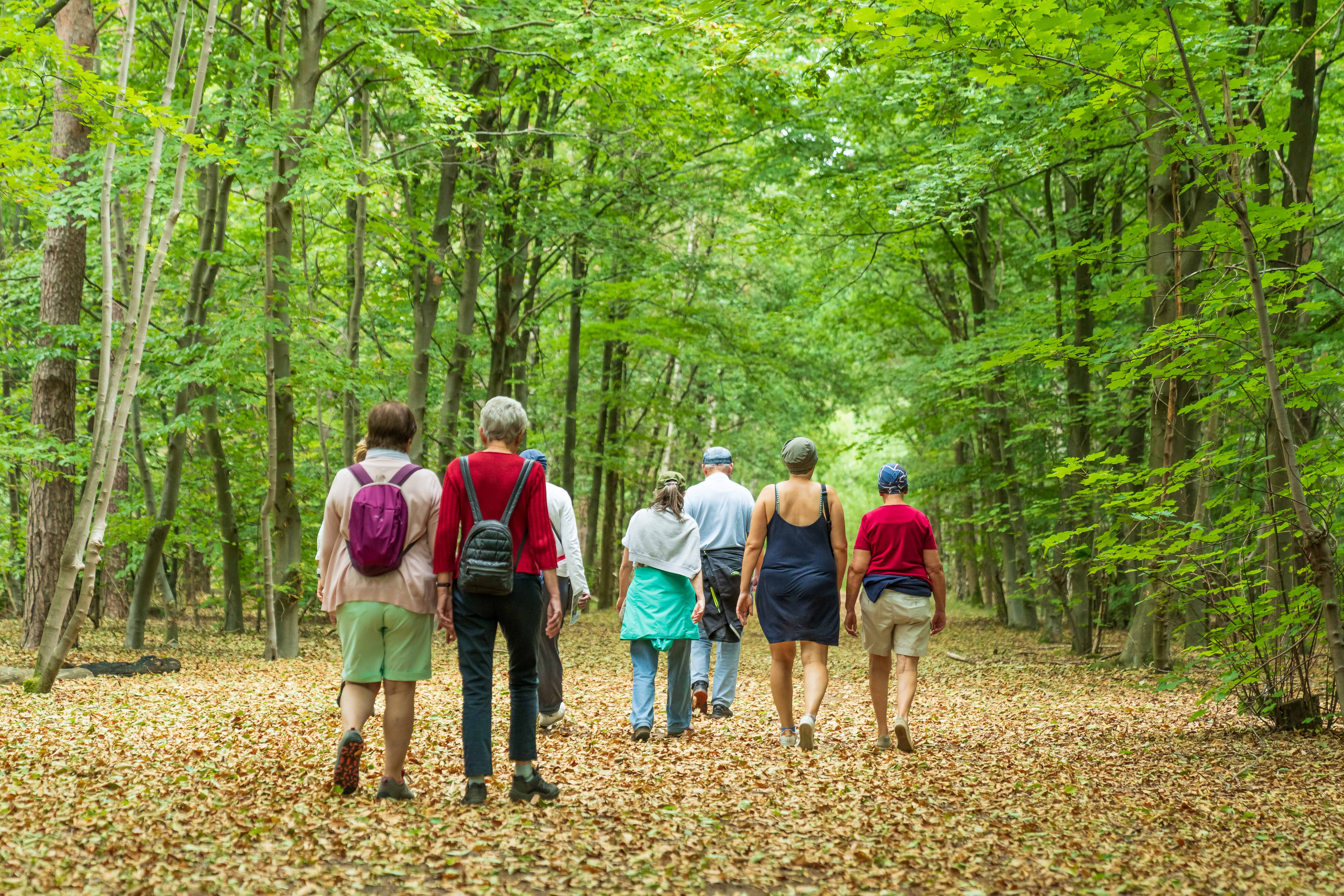 wandeling-geel