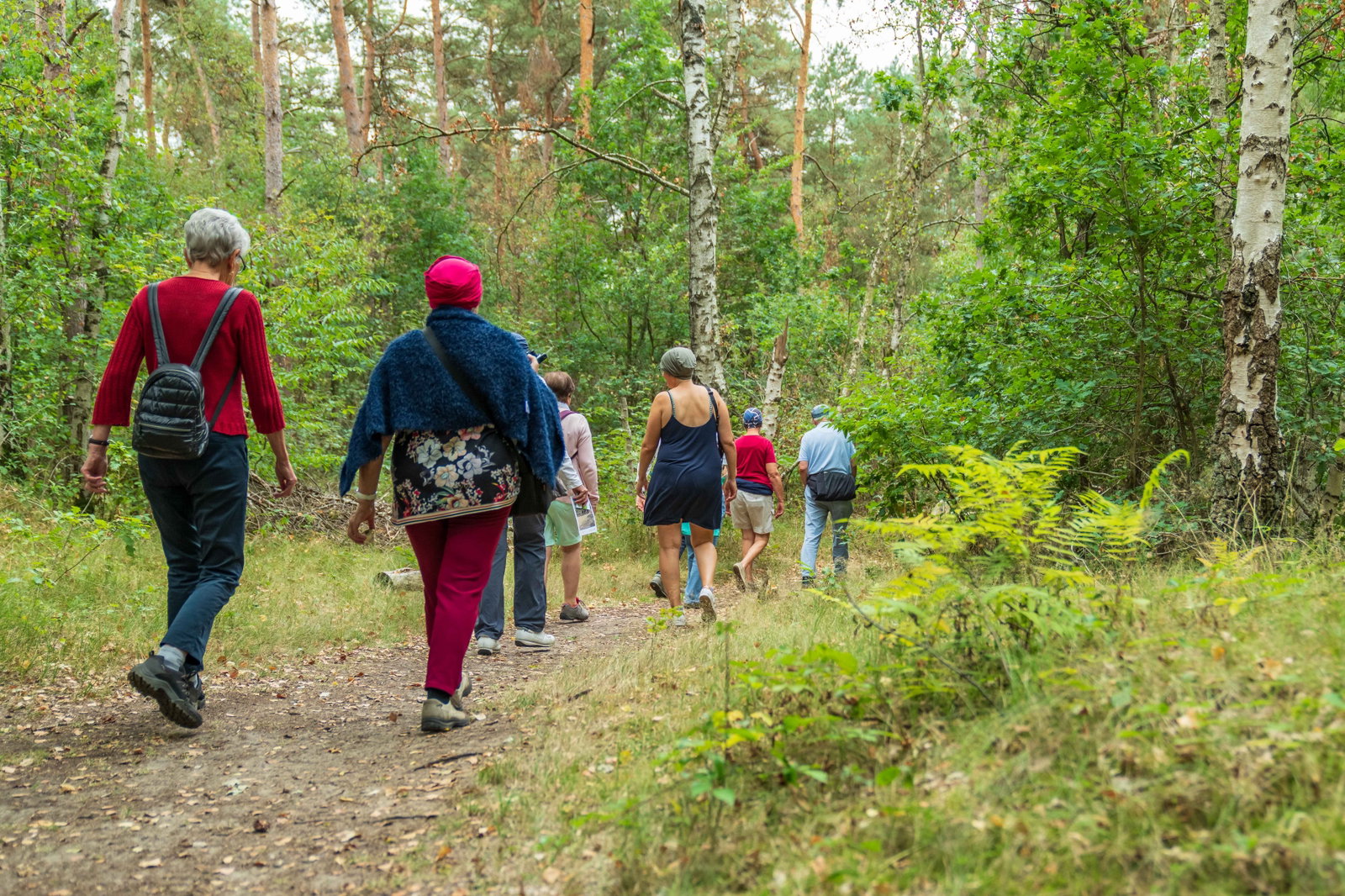 wandeling-geel