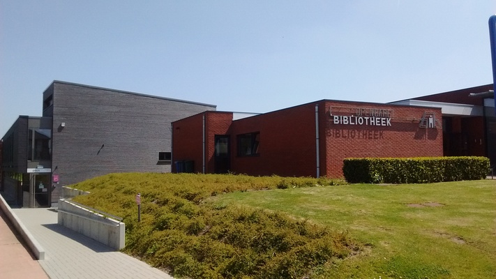 Afbeelding bij Zonnepanelen van burgers op het dak van de bibliotheek? Het kan in Bekkevoort!