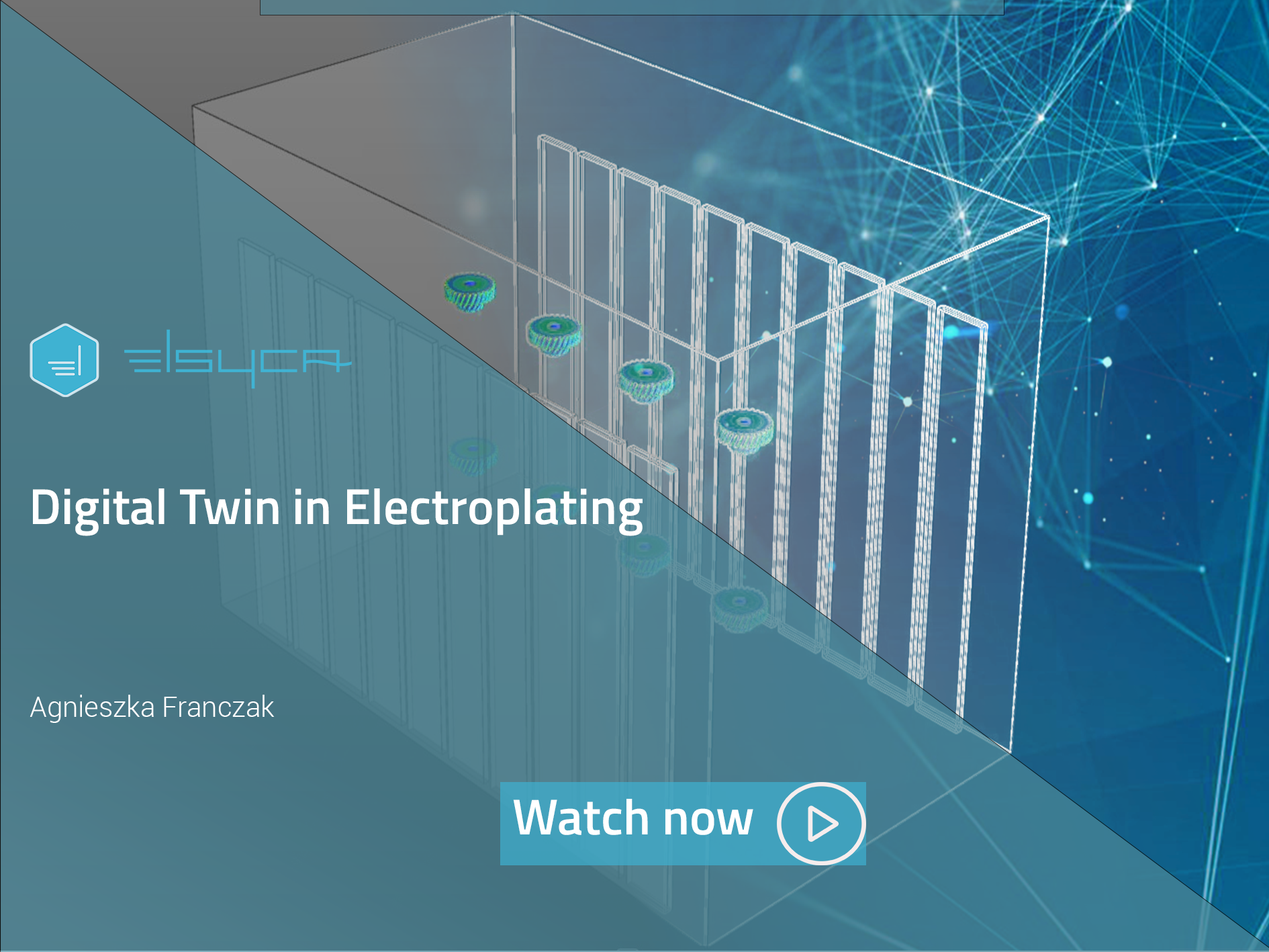 Digital Twin in Electroplating