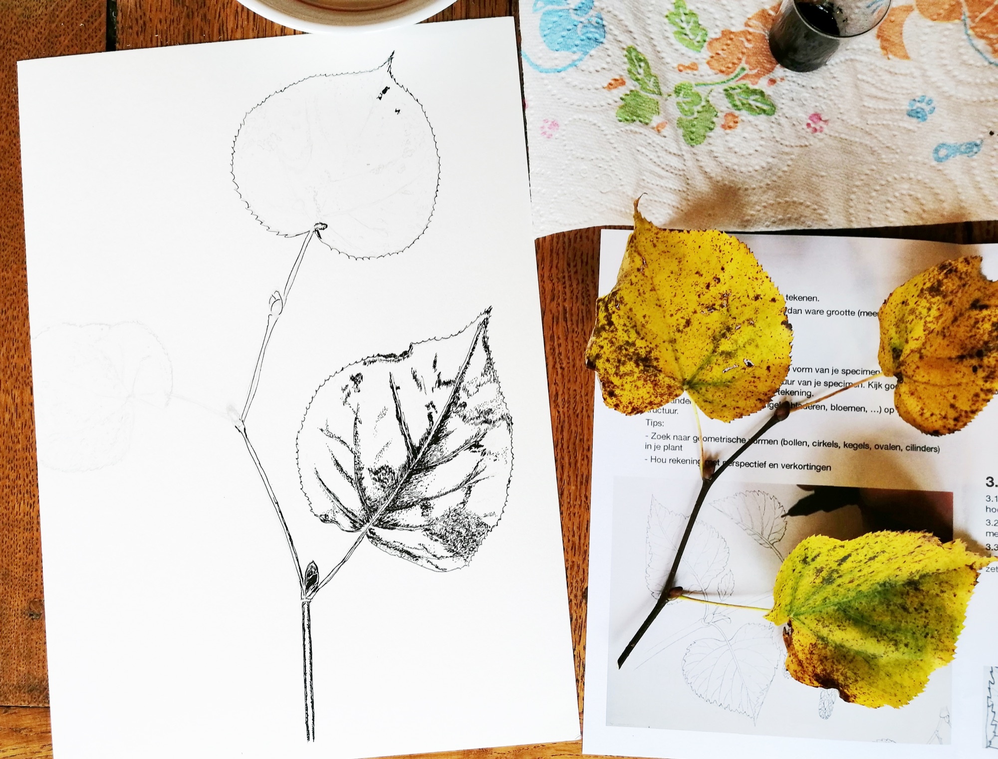 Botanisch tekenen en aquarellen - dinsdag 2027-01-19