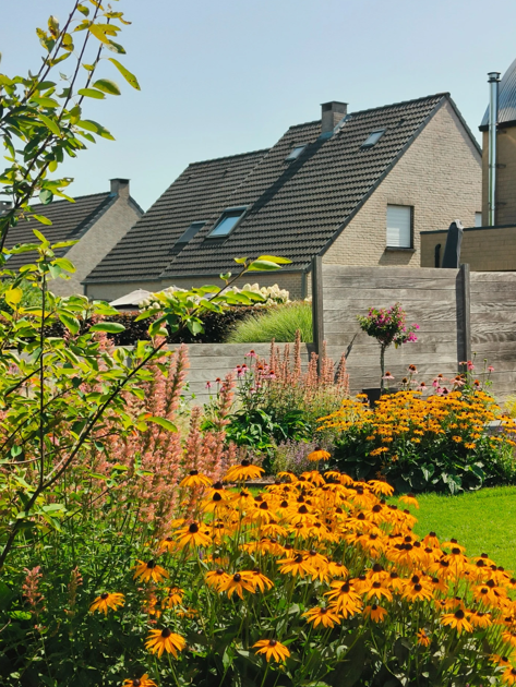 Beplantingsplan voor border in je tuin - donderdag 2026-06-11
