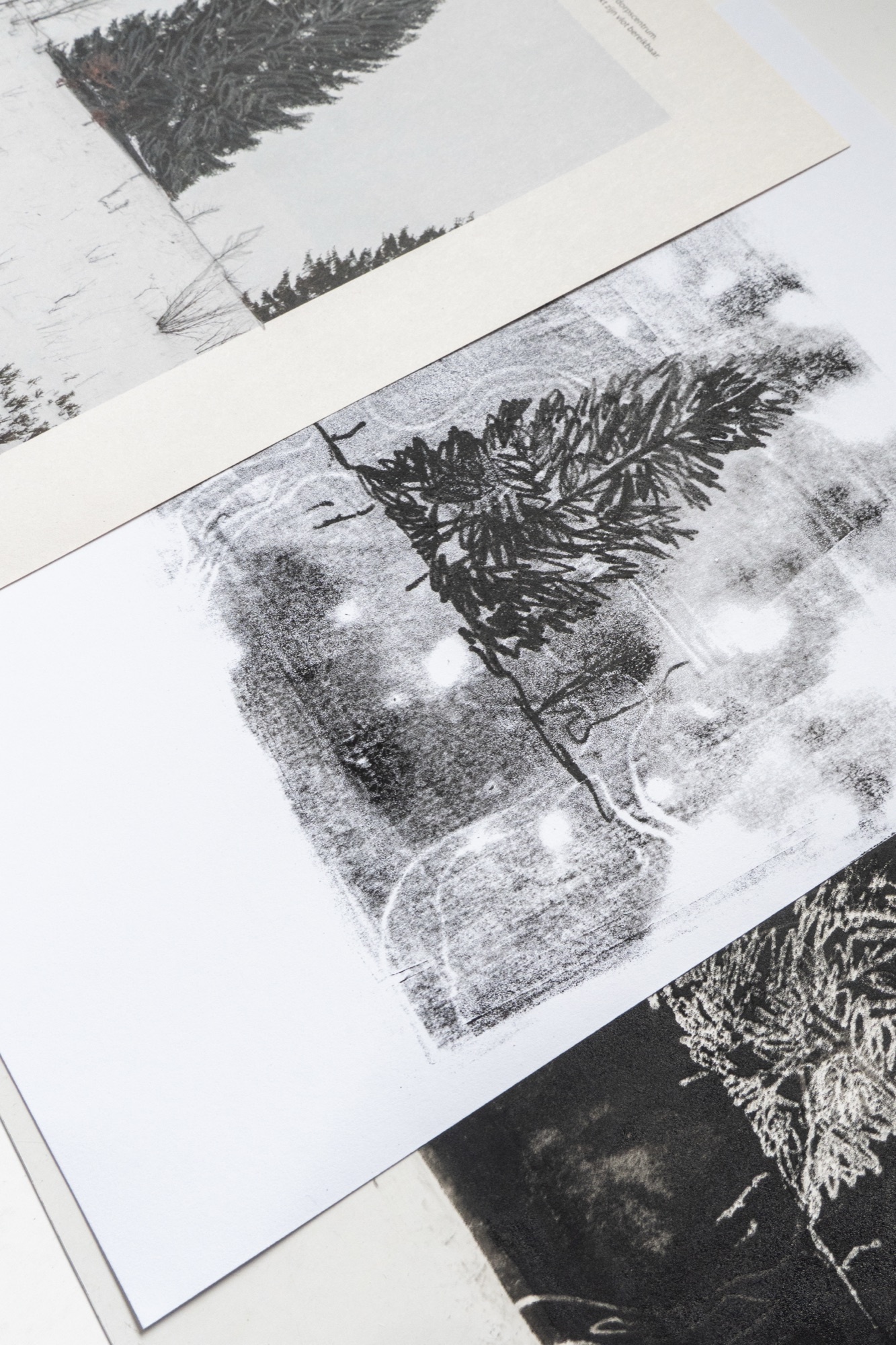 Monotype - dinsdag 2026-10-06