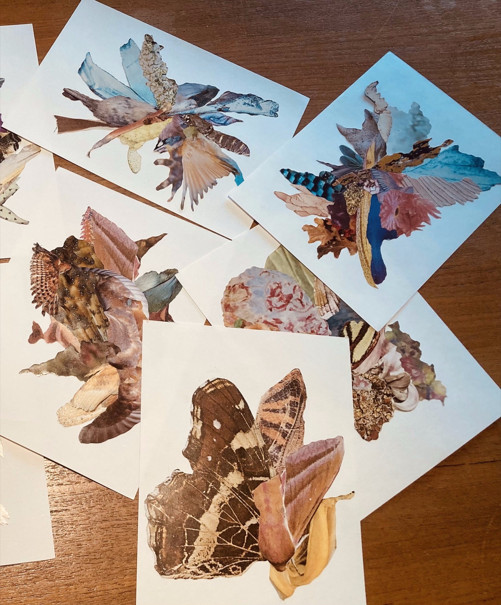 Collages maken - woensdag 2026-10-28