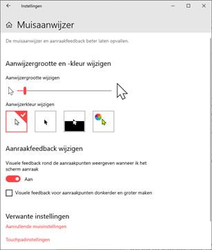 Screenshot van instellingen voor muisaanwijzer in Windows