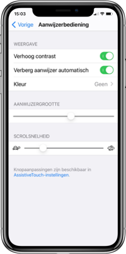 Screenshot instellingen aanwijzerbediening iOS