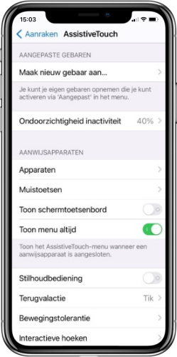 Screenshot instellingen Assistive Touch iOS