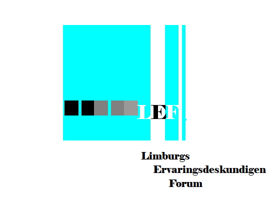 LEF (Limburgs Ervaringsdeskundigen Forum)
