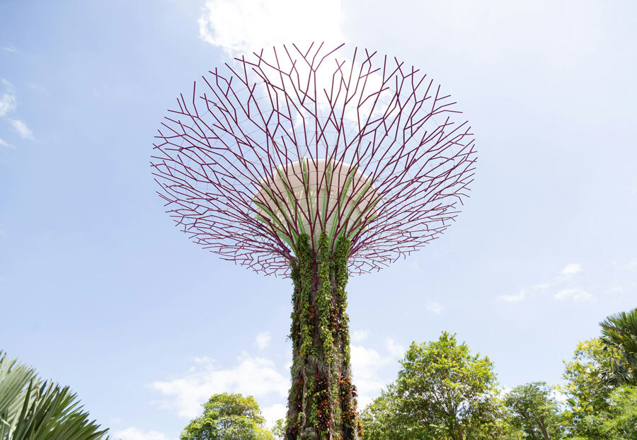 Algemene vergadering 2024