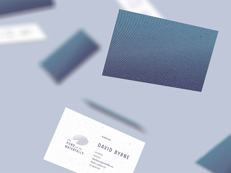 The Pond and the Waterfalls