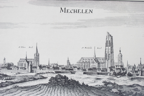 thumbnails bij product reproduction engraving Mechelen, M. Merian