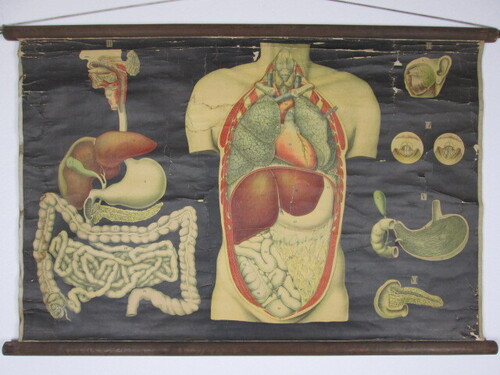 thumbnails bij product ancienne carte médicale: la digestion