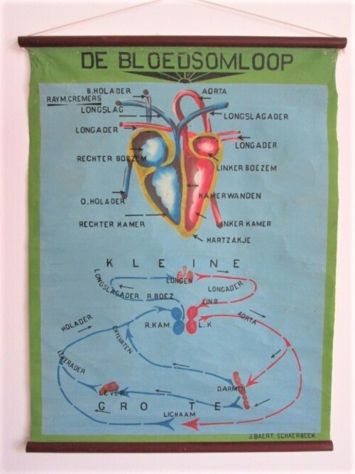thumbnails bij product old school chart of the heart
