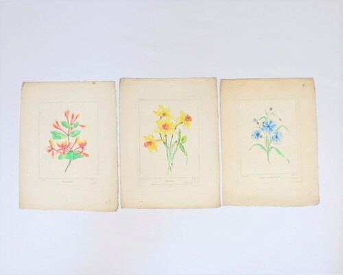 thumbnails bij product 3 gravures van bloemen, +/- 1755