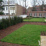 Aanleg tuin stadscentrum Tienen