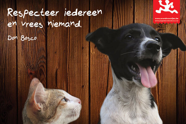 Afbeelding bij Poster Avondwoordjes