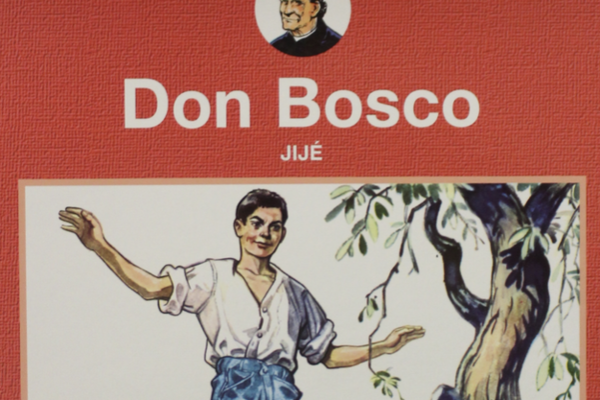 Afbeelding bij Don Bosco strip