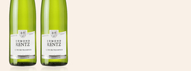 2019 Gewurztraminer, Edmond Rentz, Alsace AOC, Alsace, France