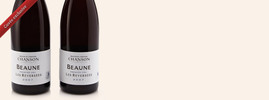 2007 Les Reversées, Beaune Premier Cru, Domaine Chanson, Beaune 1er Cru AOC, Bourgogne, Frankrijk