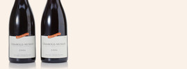 2006 Domaine David Duband, Chambolle-Musigny, Chambolle-Musigny AOC, Bourgogne, Frankrijk