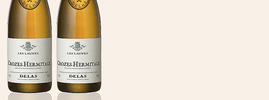 2016 Les Launes Blanc, Delas, Crozes-Hermitage AOC, Rhône-vallei, Frankrijk