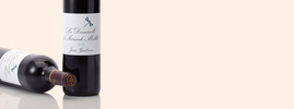 2010 La Demoiselle de Sociando-Mallet, Haut-Médoc AOC, Bordeaux, France