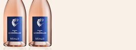 2020 Minuit, Domaine de la Cendrillon, Corbières AOC, Languedoc-Roussillon, France