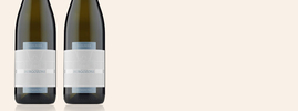 2019 Viognier, Château Burgozone, Danube Plain PGI, Donau, Bulgarije