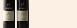 2013 Belasco de Baquedano Llama, Malbec, Alto Agrelo Valley, Mendoza, Argentine