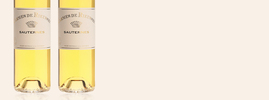 2019 Carmes de Rieussec, Sauternes AOC, Bordeaux, France