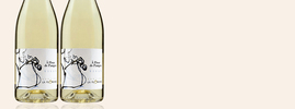 2020 A Fleur de Pampre blanc, Domaine la Florane, Côtes-du-Rhône Village AOC, Vallée du Rhône, France