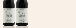 2014 Pinot Noir, Nicolas Potel, Bourgogne AOC, Bourgogne, Frankrijk