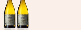 2021 Schiste, Domaine des Ardoisières, Vin des Allobroges IGP, Savoy, France